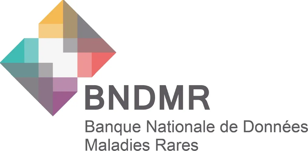 BNDMR_2025