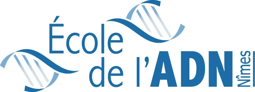 LOGO école ADN