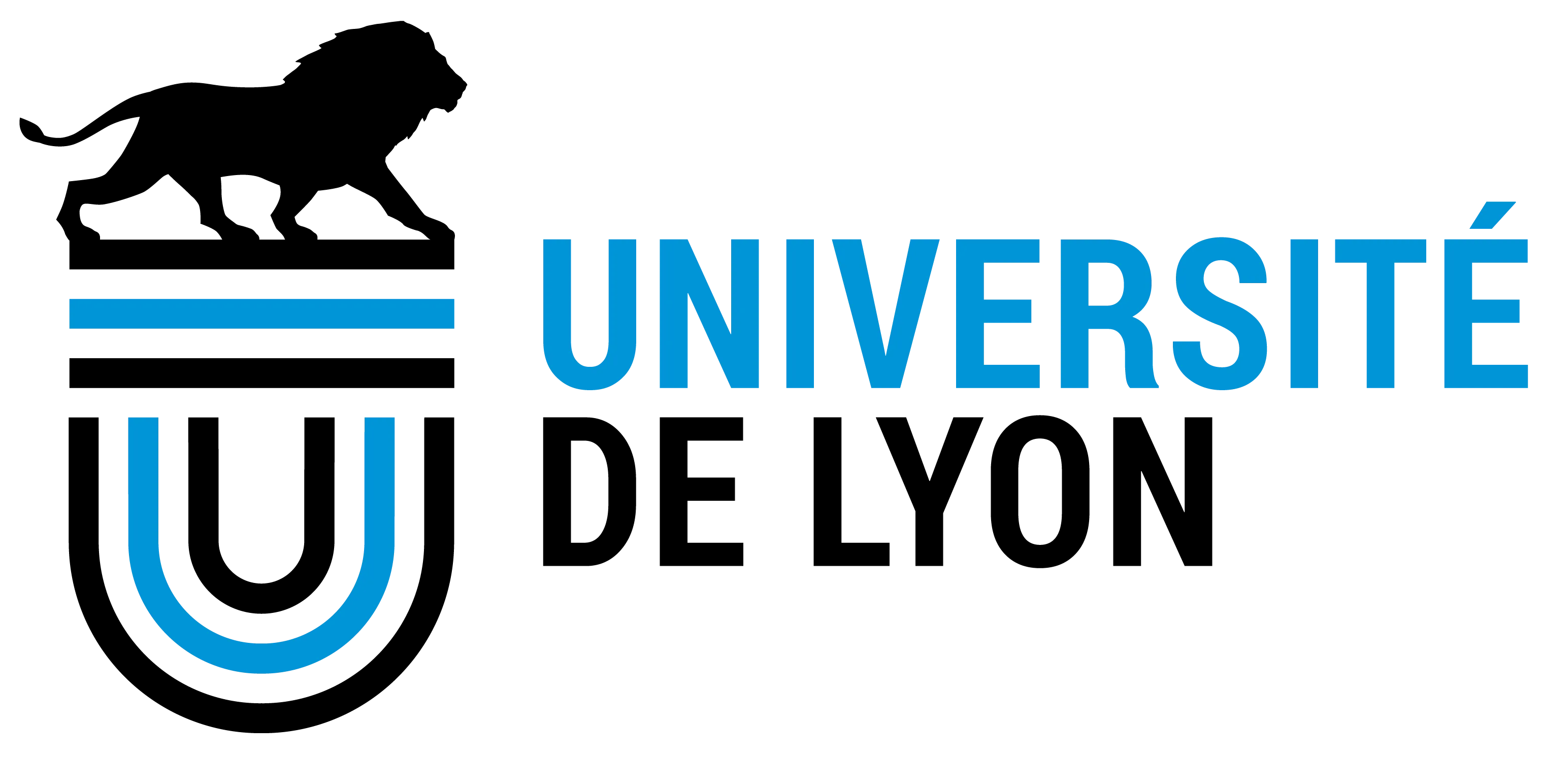 Logo_Université_de_Lyon
